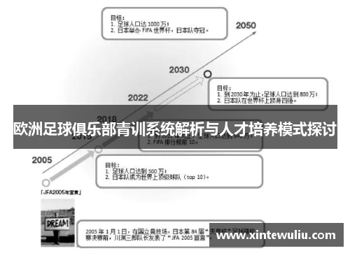 欧洲足球俱乐部青训系统解析与人才培养模式探讨
