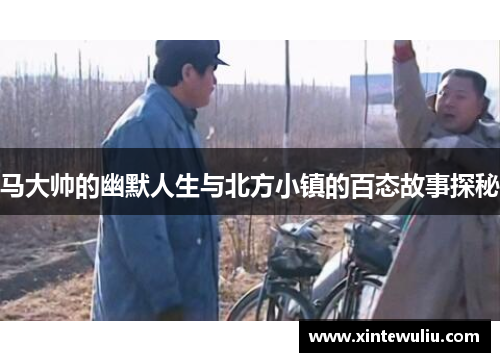 马大帅的幽默人生与北方小镇的百态故事探秘