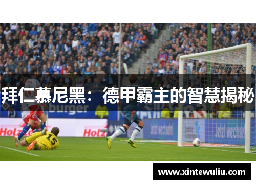 拜仁慕尼黑：德甲霸主的智慧揭秘