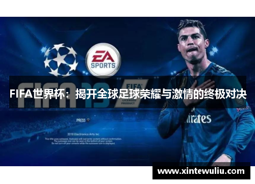 FIFA世界杯：揭开全球足球荣耀与激情的终极对决