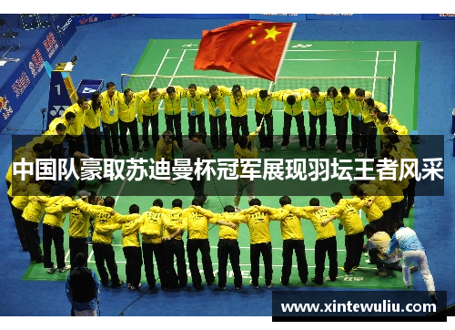 中国队豪取苏迪曼杯冠军展现羽坛王者风采