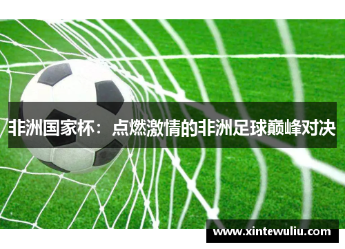非洲国家杯：点燃激情的非洲足球巅峰对决